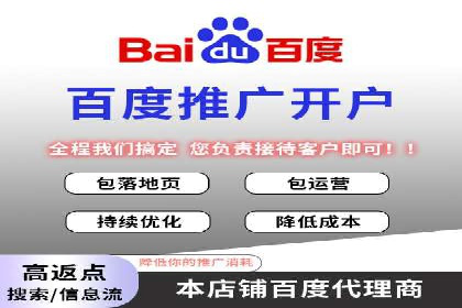 社交平台信息流广告推广的典型案例分析